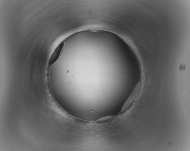 X0000113040912200908271502
