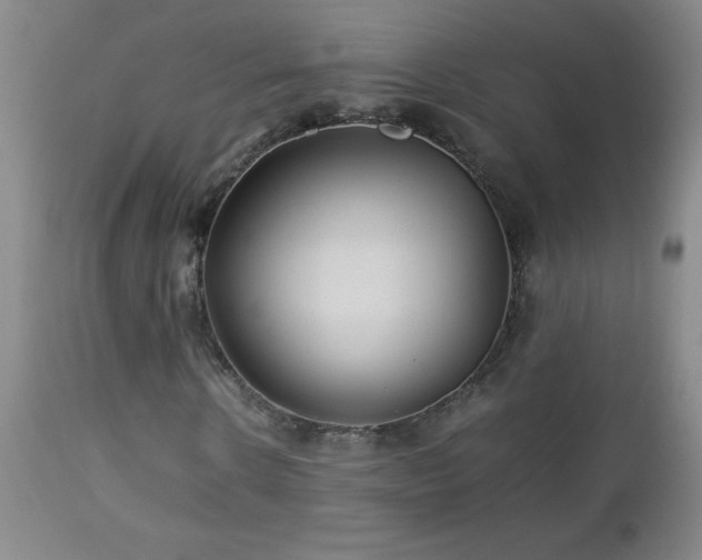 X0000113040914200908271502