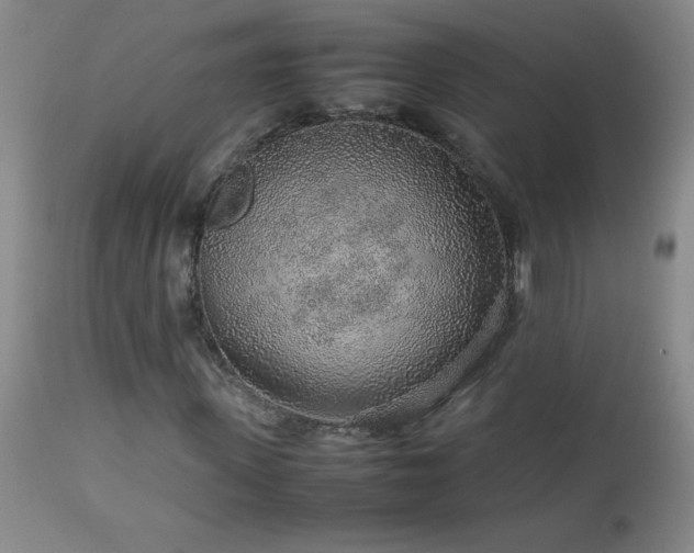 X0000113040915200908271502