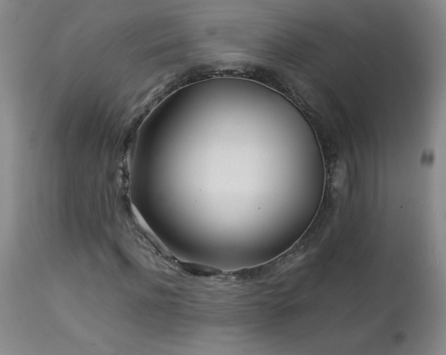 X0000113040916200908271502