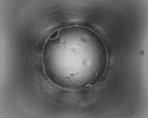 X0000113040917200908271502