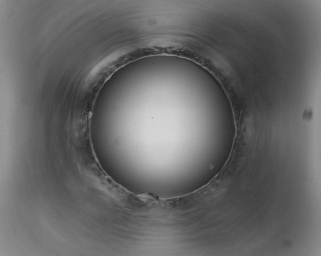X0000113040920200908271502