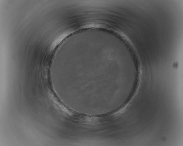 X0000113040921200908271502