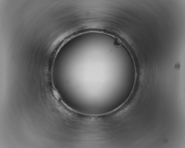 X0000113040922200908271502