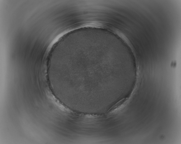 X0000113040923200908271502