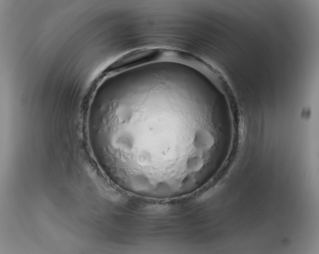 X0000113040925200908271502