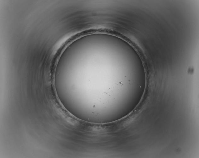 X0000113040927200908271502