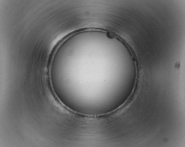 X0000113040928200908271502