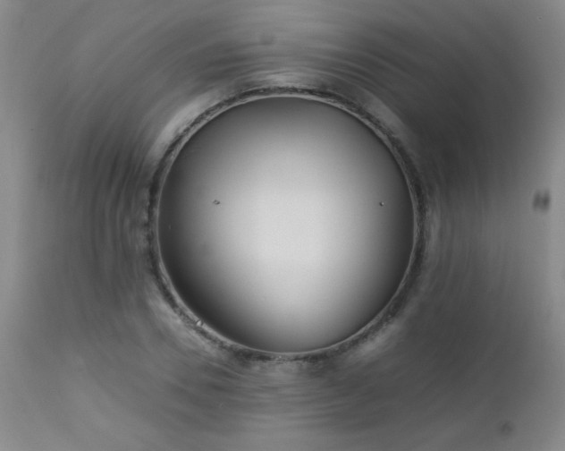 X0000113040930200908271502