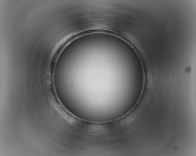 X0000113040931200908271502