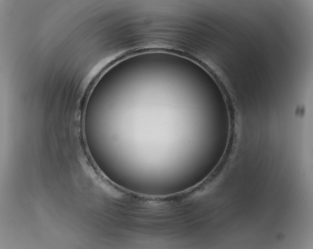 X0000113040933200908271502
