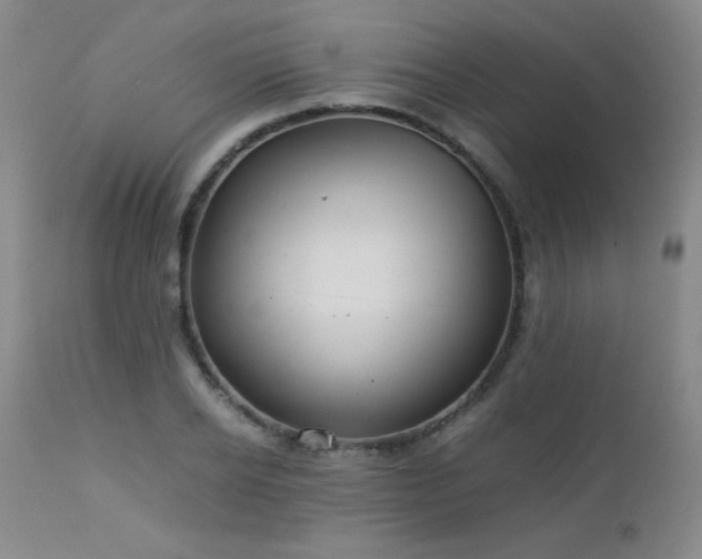 X0000113040934200908271502