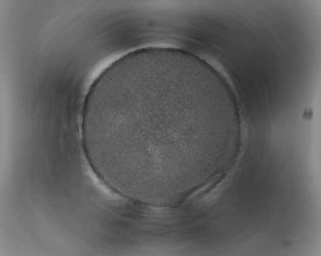 X0000113040935200908271502