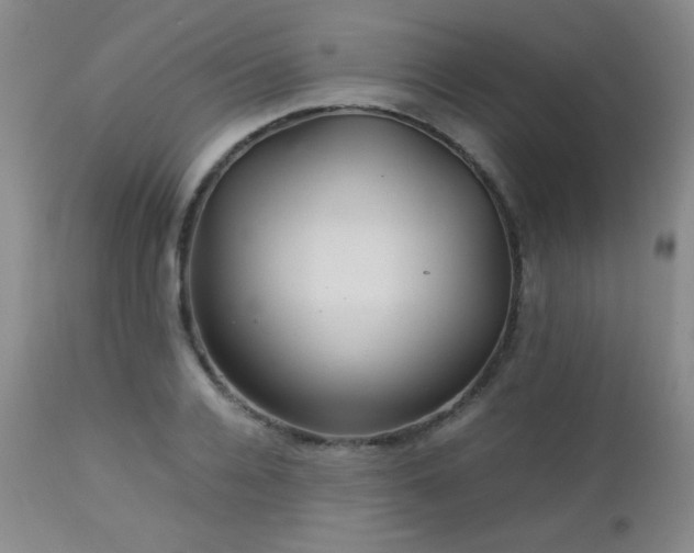 X0000113040936200908271502