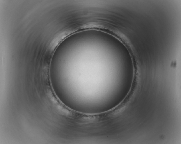 X0000113040937200908271502