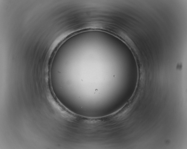 X0000113040939200908271502