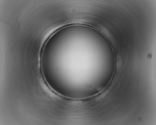 X0000113040940200908271502