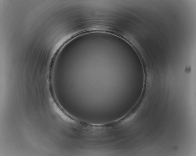 X0000113040941200908271502