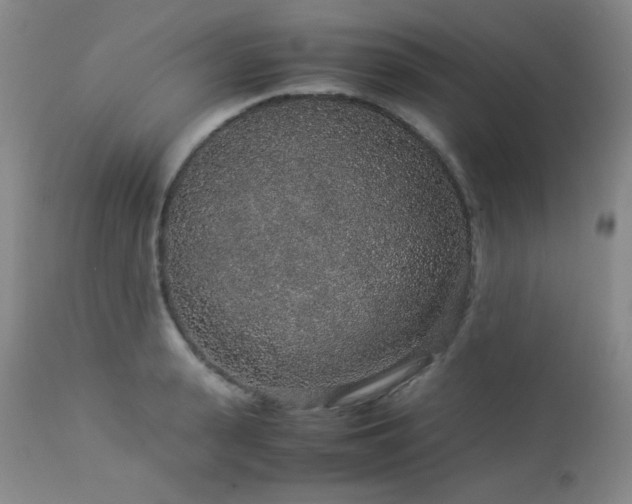 X0000113040943200908271502