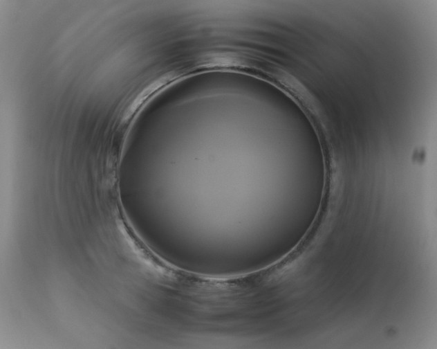 X0000113040945200908271502