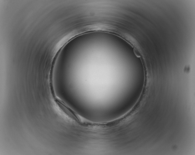 X0000113040946200908271502