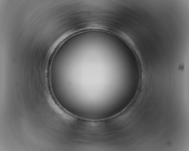 X0000113040947200908271502