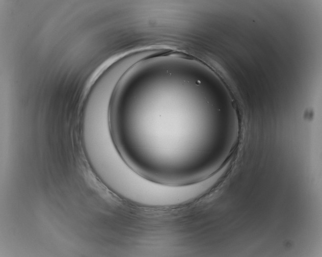 X0000113040948200908271502
