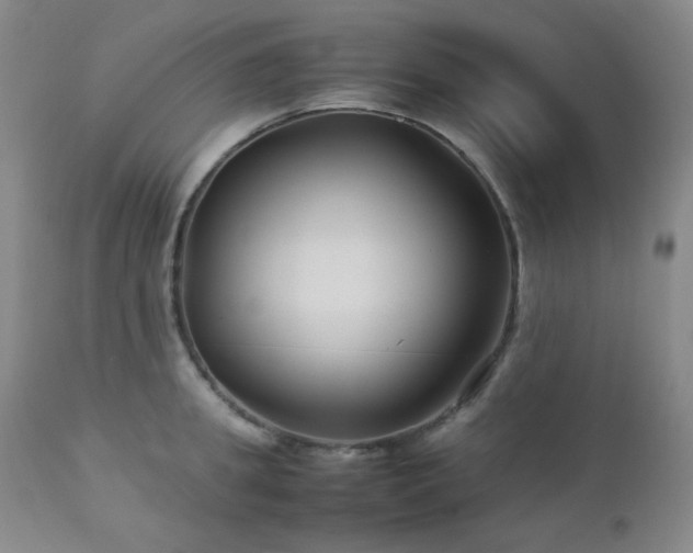 X0000113040949200908271502
