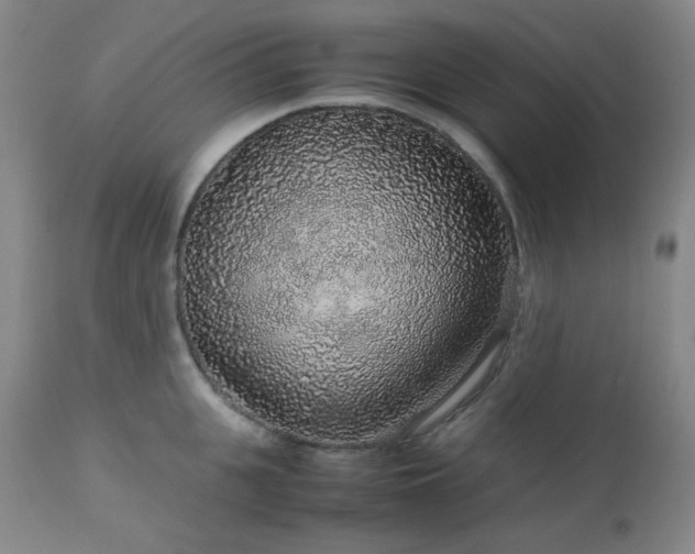 X0000113040951200908271502