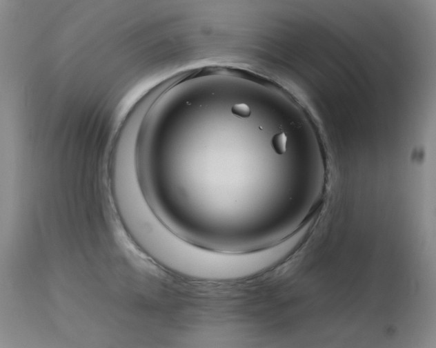 X0000113040952200908271502