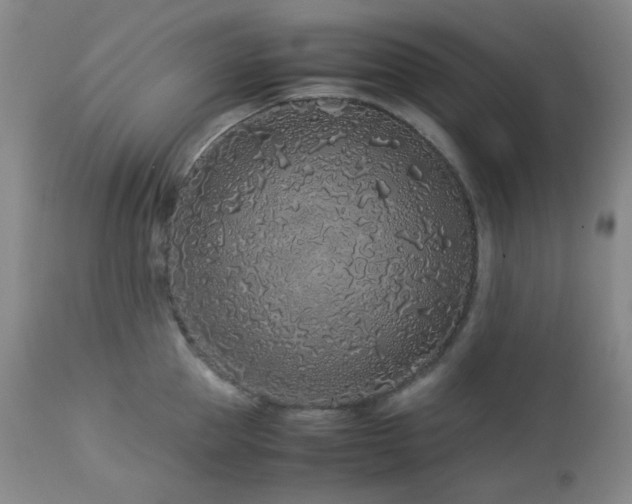 X0000113040953200908271502