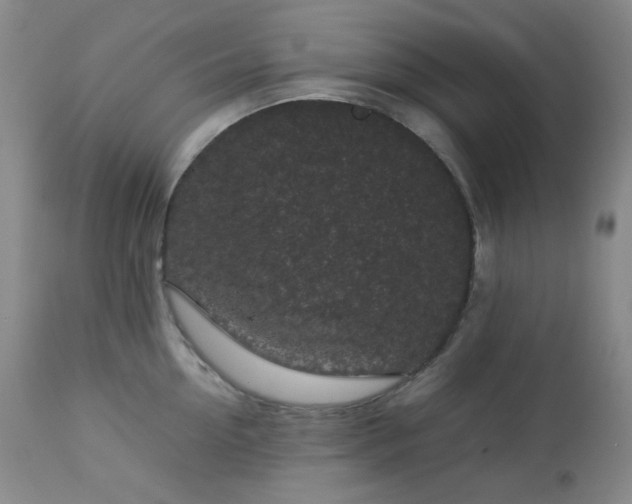 X0000113040954200908271502