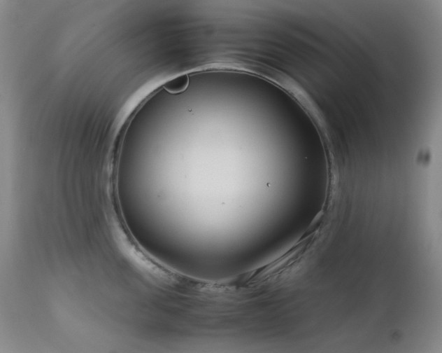 X0000113040955200908271502