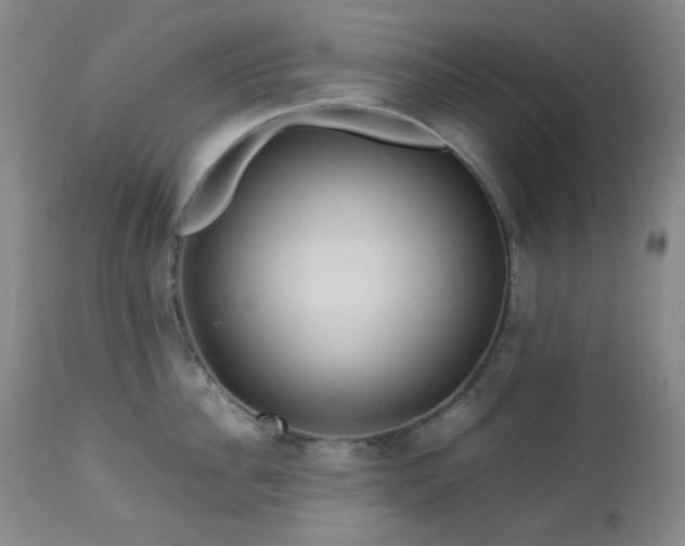 X0000113040956200908271502