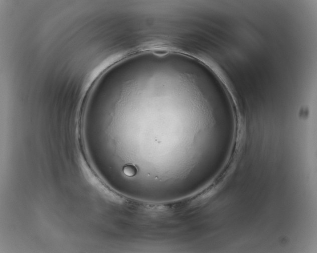 X0000113040957200908271502