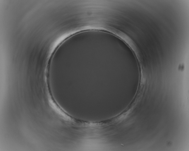 X0000113040958200908271502