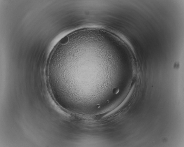 X0000113040959200908271502