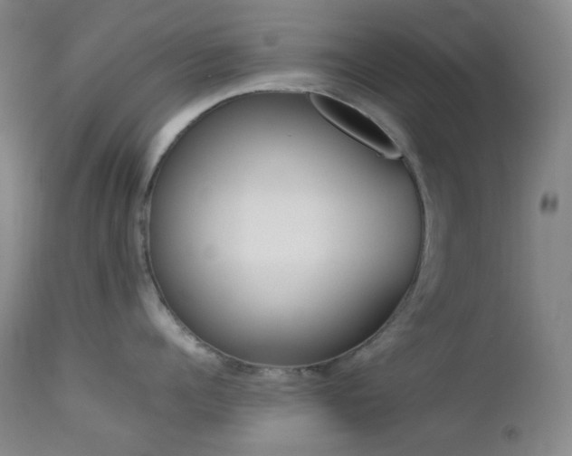 X0000113040960200908271502
