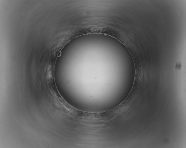 X0000113040962200908271502