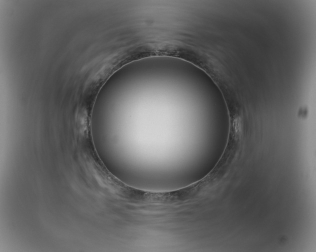 X0000113040963200908271502