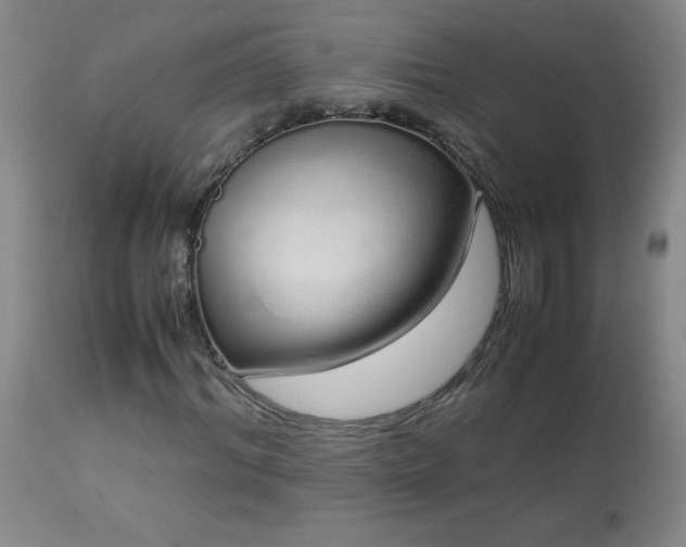X0000113040964200908271501