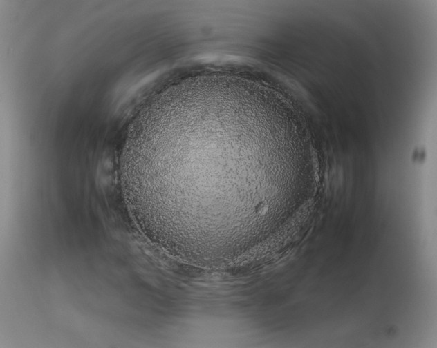X0000113040966200908271501