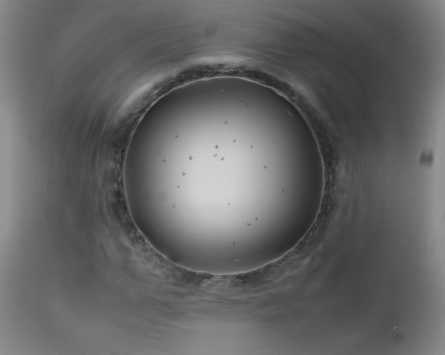 X0000113040967200908271501