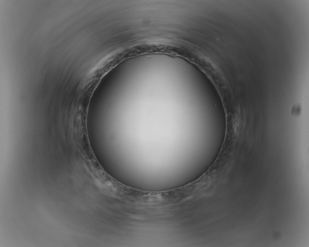 X0000113040968200908271501