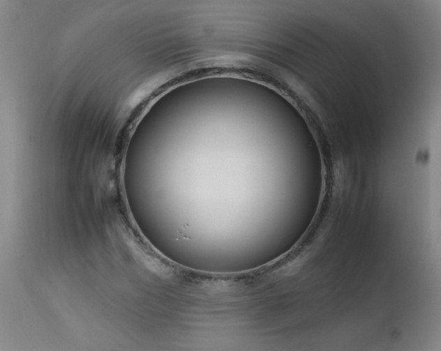 X0000113040970200908271501