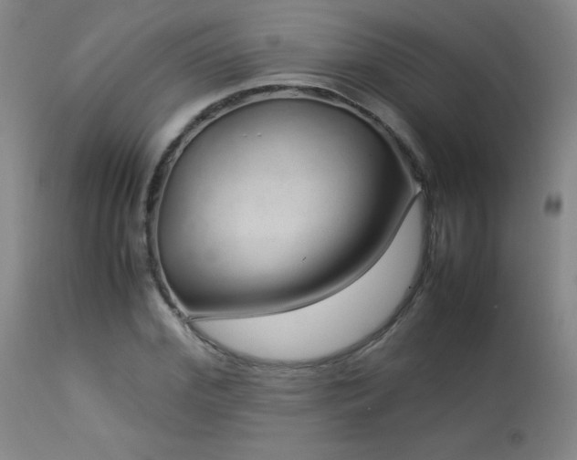 X0000113040972200908271501