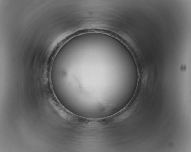 X0000113040974200908271501