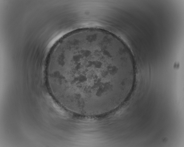 X0000113040975200908271501