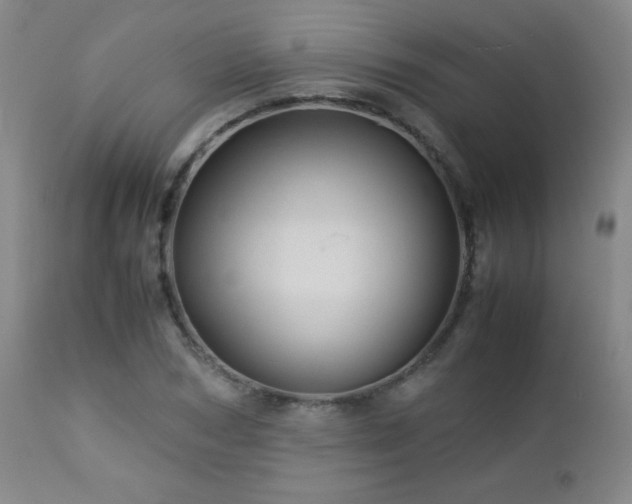 X0000113040978200908271501