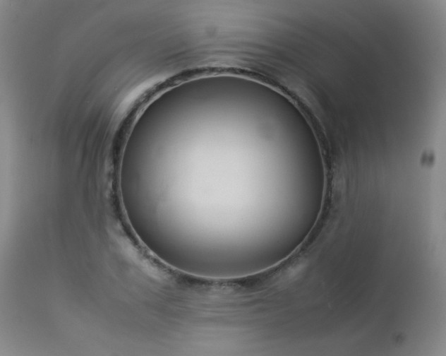 X0000113040979200908271501